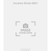 Bruneau: Vocalise Etude N021