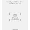 Your Eyes Of Blue Opus 59/8 Nr 1 for L Vo