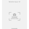 Motette Opus 19