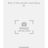 Star of the mystic east Opus 81