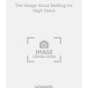 The Image Vocal Setting for High Voice