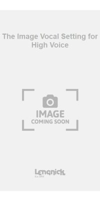 The Image Vocal Setting for High Voice