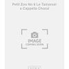 Petit Zoo No 6 Le Tamanoir a Cappella Choral