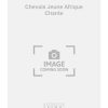 Chevais Jeune Afrique Chante
