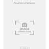 Georges-Leonce Guinot: Feuillets dAlbums