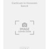 M.A. Charpentier: Canticum In Honorem Sancti