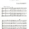 Franz Schubert: Magnificat
