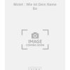 Telemann: Motet : Wie Ist Dein Name So