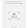 Pecheurs de Perles air No.10 L'Orage S'Est Calme