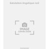 Salutation Angelique no2