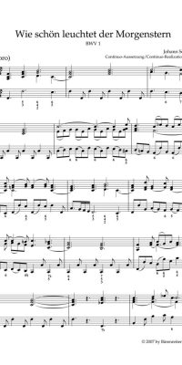 Bach: Kantate BWV 1 Wie schon leuchtet der Morgenstern (Orgel)