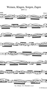 Bach: Kantate BWV 12  Weinen, Klagen, Sorgen, Zagen (Set)