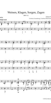 Bach: Kantate BWV 12  Weinen, Klagen, Sorgen, Zagen (Orgel)