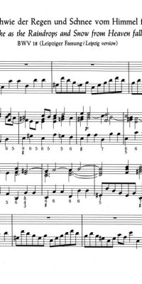 Bach: Kantate BWV 18  Gleichwie der Regen und Schnee vom Himmel fällt (Orgel)