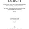 Bach: Kantate BWV 18  Gleichwie der Regen und Schnee vom Himmel fällt  (Altviool 3)