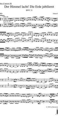 Bach: Kantate BWV 31 Der Himmel lacht! Die Erde jubilieret (Hobo(3)
