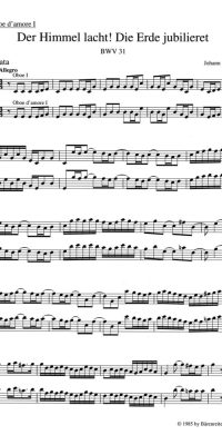 Bach: Kantate BWV 31 Der Himmel lacht! Die Erde jubilieret (Set)