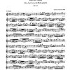 Bach: Kantate BWV 68  Also hat Gott die Welt geliebt (Viool 1)