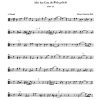 Bach: Kantate BWV 68  Also hat Gott die Welt geliebt (Altviool)