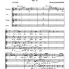 Bach: Kantate BWV 68  Also hat Gott die Welt geliebt (SATB)
