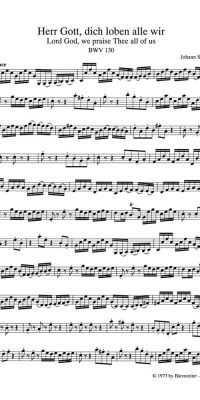 Bach: Kantate BWV 130  Herr Gott, dich loben alle wir (Viool 2)
