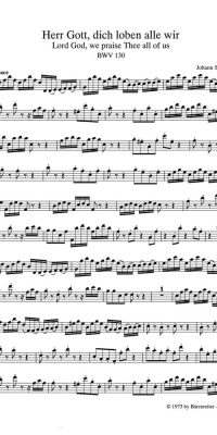 Bach: Kantate BWV 130  Herr Gott, dich loben alle wir (Altviool)