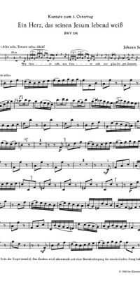 Bach: Kantate BWV 134  Ein Herz, das seinem Jesum lebend weiss  (Viool 1)