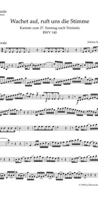 Bach: Kantate BWV 140 Wachet auf, ruft uns die Stimme (Altviool 2)