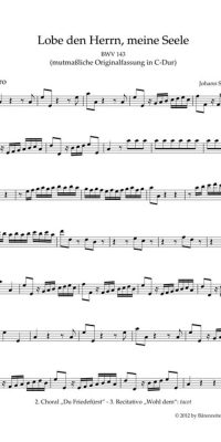 Bach: Kantate 143 Lobe den Herrn, meine Seele (Set)