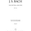 Bach: Kantate 143 Lobe den Herrn, meine Seele (Viool 2)