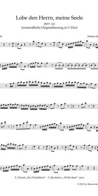 Bach: Kantate 143 Lobe den Herrn, meine Seele (Altviool)