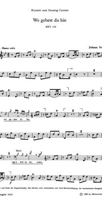 Bach: Kantate BWV 166  Wo gehest du hin? (Hobo)