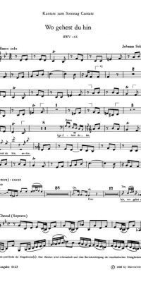 Bach: Kantate BWV 166  Wo gehest du hin? (Viool 2)