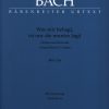 Bach: Kantate BWV 208  Was mir behagt, ist nur die muntre Jagd! (Hunting Cantata)  (Viool 2)