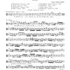 Bach: Kantate BWV 208  Was mir behagt, ist nur die muntre Jagd! (Hunting Cantata)  (Altviool)