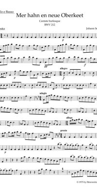 Bach: Kantate BWV 212 Mer Hahn En Neue Oberkeet BWV 212 (Cello/Kontrabas)