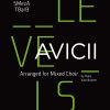 Avicii: Levels