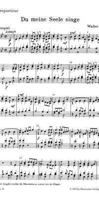 Du meine Seele, singe