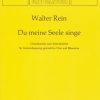 Du meine Seele, singe