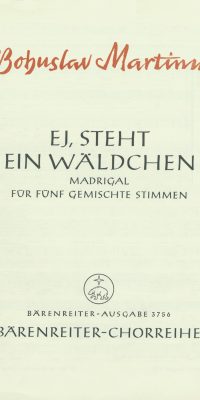 Ej, steht ein Wäldchen