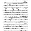 Vivaldi: Concerto for Violin, Strings and Basso continuo L'Estro Armonico No. 3 (RV 310)