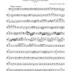 Mozart: Konzert für Klavier und Orchester Nr. 25 C-Dur KV 503