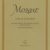 Mozart: Cara, se le mie pene