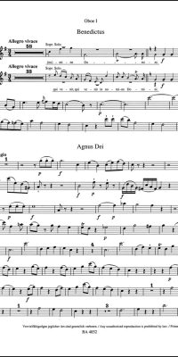 Mozart: Missa Organ Solo Mass C major KV 259 (Hobo/Hoorn)