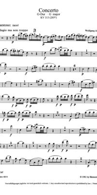 Wolfgang Amadeus Mozart: Concerto