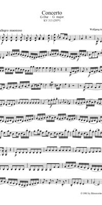 Mozart: Concerto in G major K 313 for Flute and Orchestra (Viool 2)