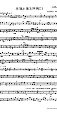 Buxtehude: Jesu, my heart's treasure BuxWV 60
