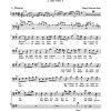 Matthäus-Passion - St Matthew Passion, Version 1736 (Final Version)