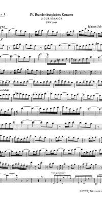 Bach: Brandenburg Concerto no. 4 G major BWV 1049 (Altblokfluit)