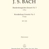 Bach: Brandenburg Concerto No. 5 BWV 1050 (Fluit)